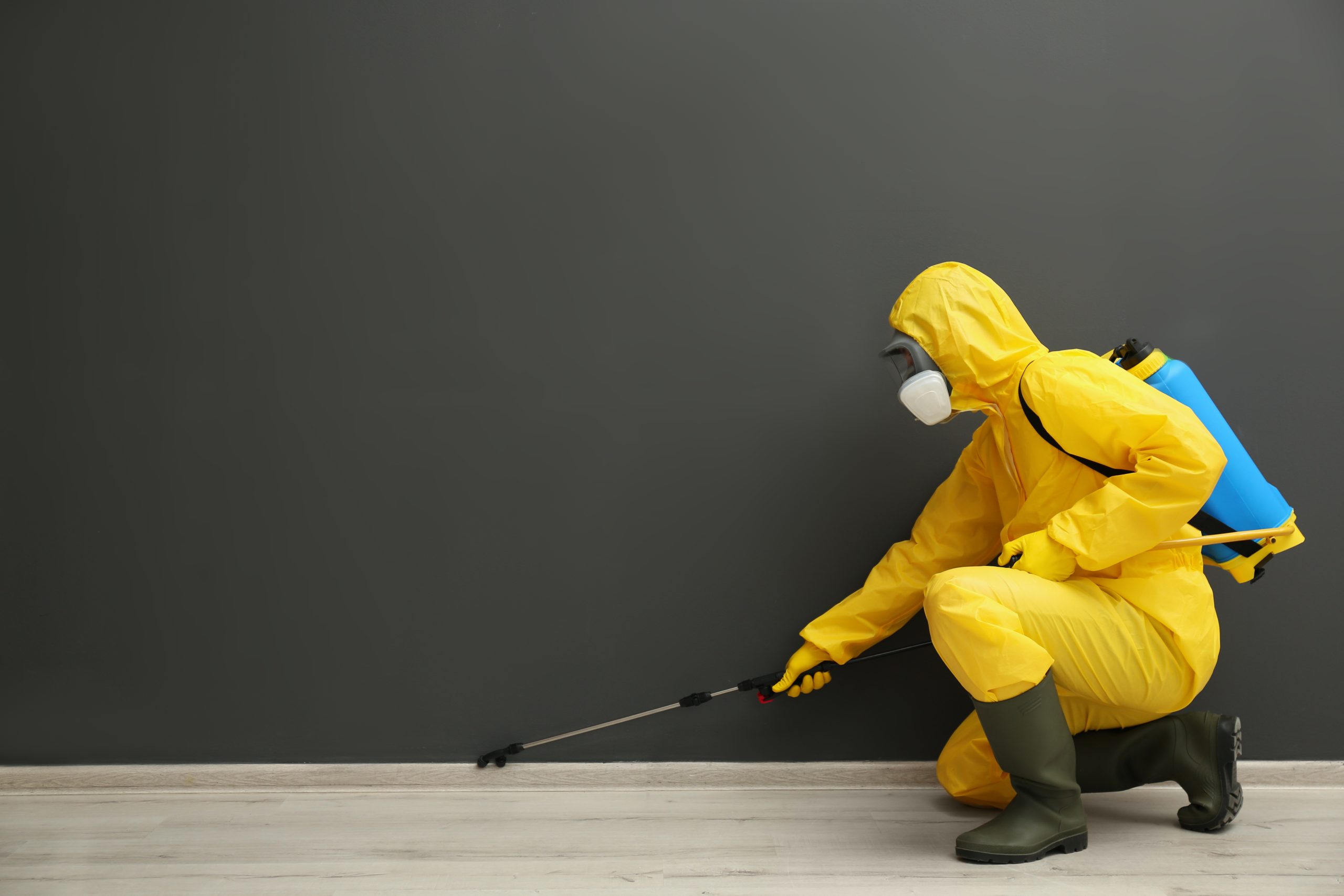 Pest Control